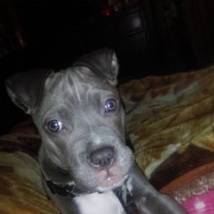 Meet your Posher, Vera